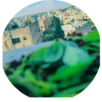 شهم العساسفه