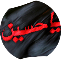 علي امير الزيدي
