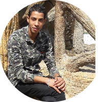 Amr Mohamed