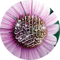 Ahmed sultan