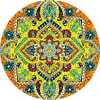 رولا علي