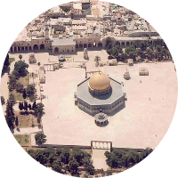 طارق أبوزيد