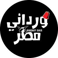 Amr Elwardany
