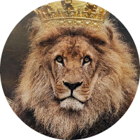 محمد الشاطر