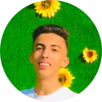 محمود الشيخ