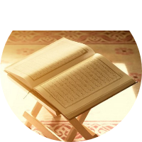 انتصار محمد