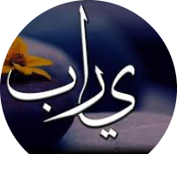 رشا حسين