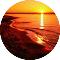 خولة بلفاسي