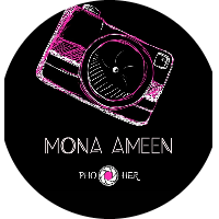 mona ameen