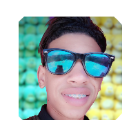 salaheddine elmardi