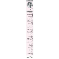 حمزة العزوني