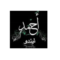 ِAhmed Ghamry