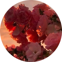 عائدة بلميلود